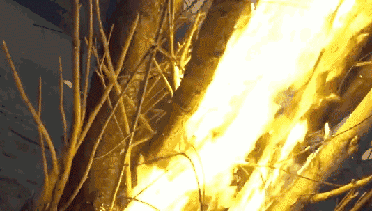 首页- am8亚美集团旗舰厅官网