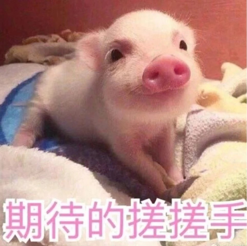 首页- am8亚美集团旗舰厅官网